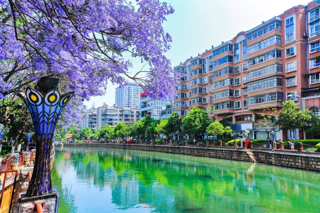 海埂公园景点图片