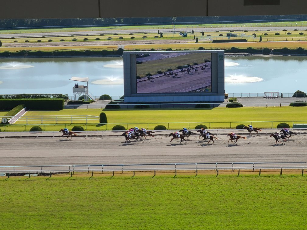 Kyoto Racecourse-京都市必去景点