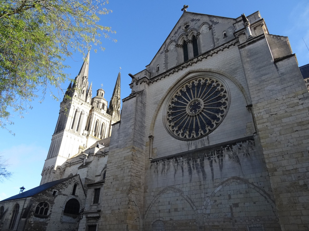 Cathédrale Saint-Maurice d'Angers景点图片
