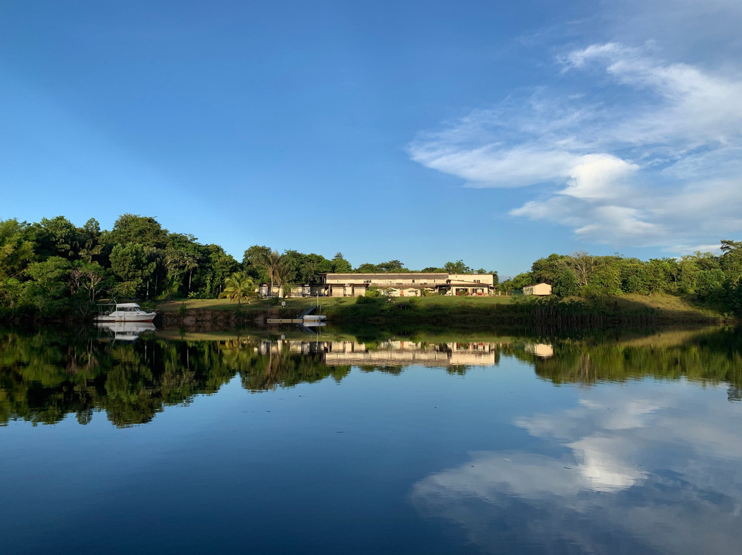 L'oiseau de Paradis主图