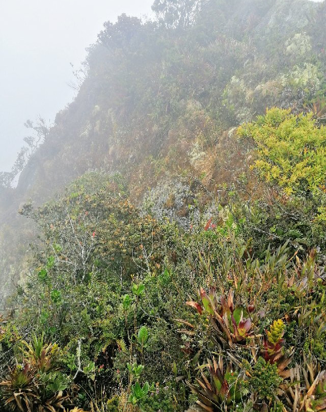Cerro El Tablazo-Subachoque必去景点