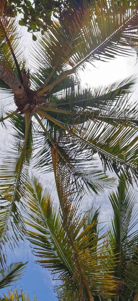 Pousada da Barra Caraiva-泳池