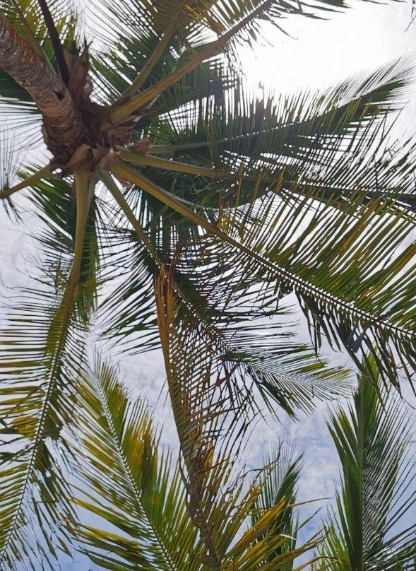 Pousada da Barra Caraiva主图