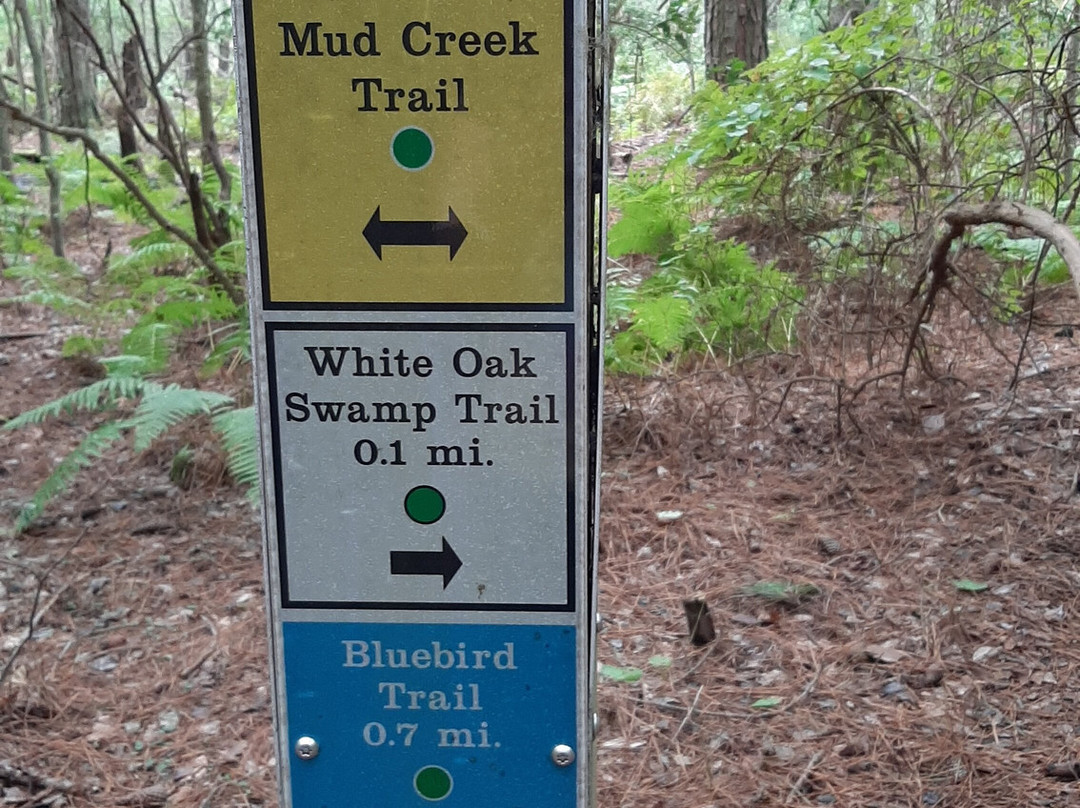 Belle Isle State Park景点图片
