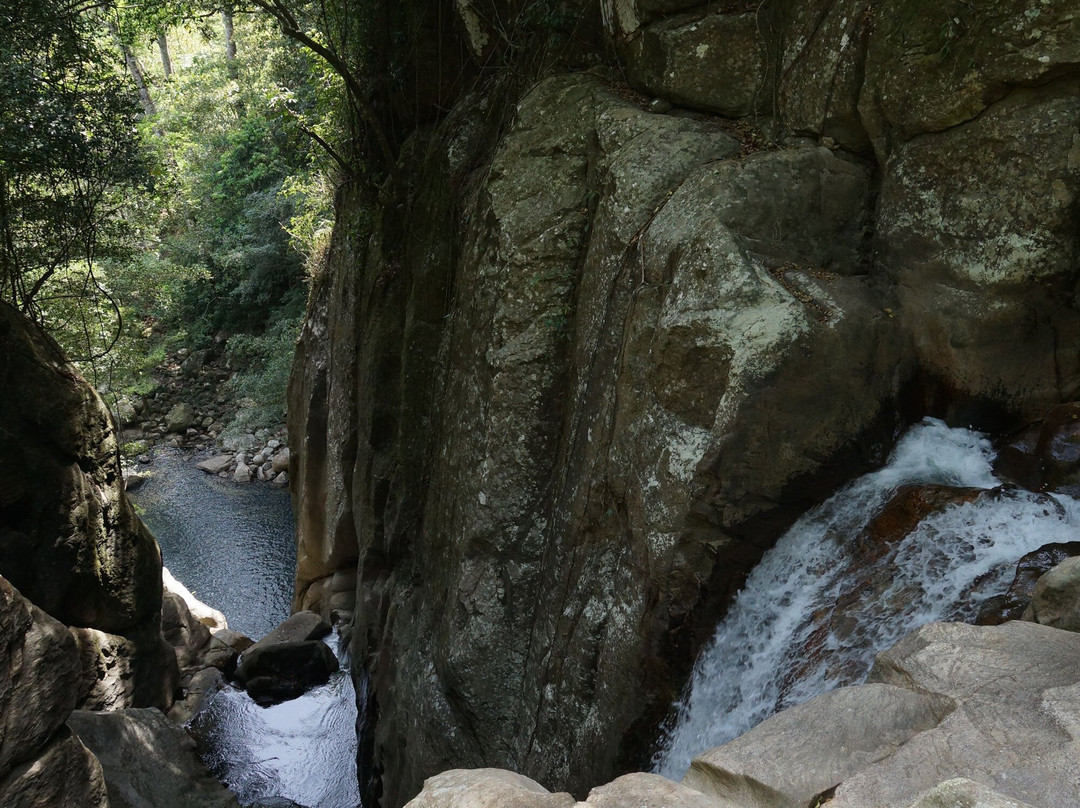 Knuckles Conservation Forest-Kandy District必去景点