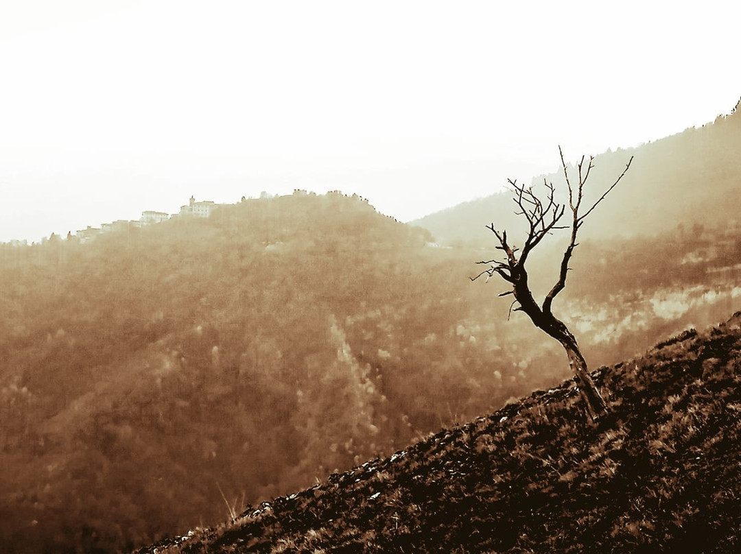 Parco Regionale Campo dei Fiori景点图片