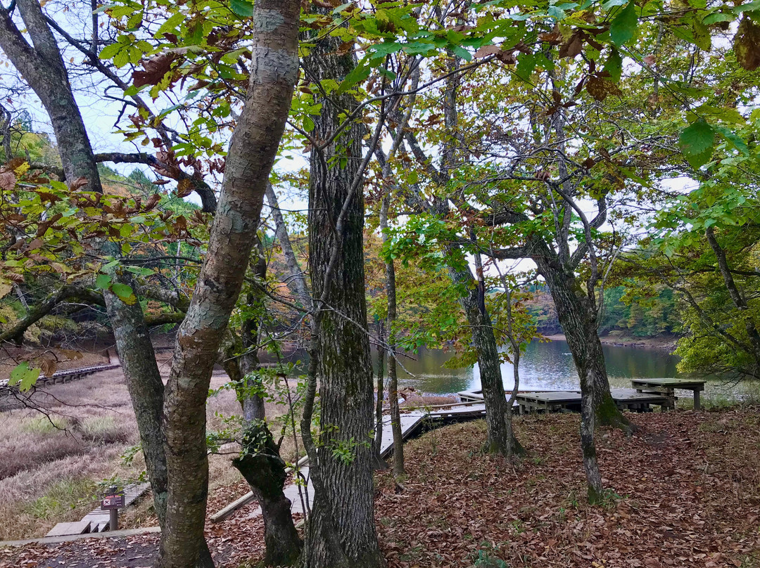 Onuma Park景点图片