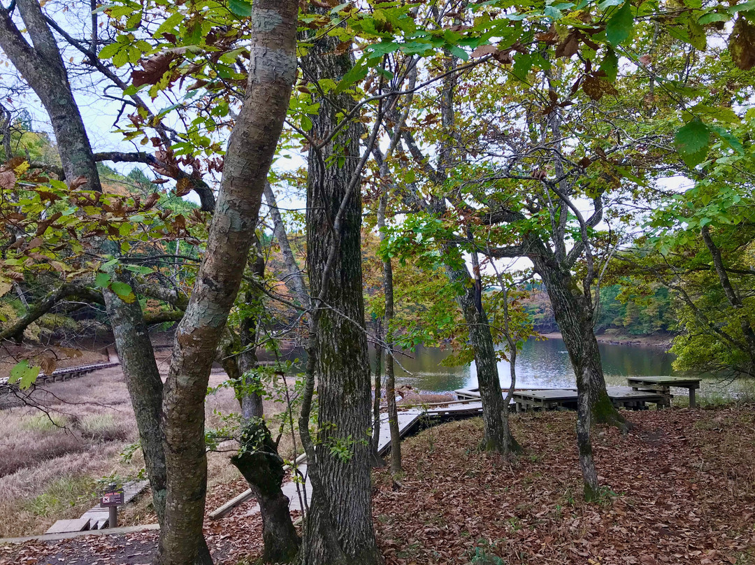 Onuma Park-那须盐原市必去景点