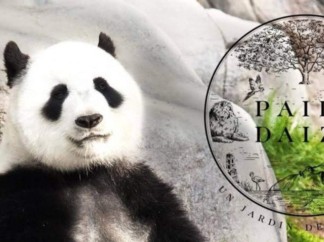 最佳西方卡斯特乌度假酒店主图