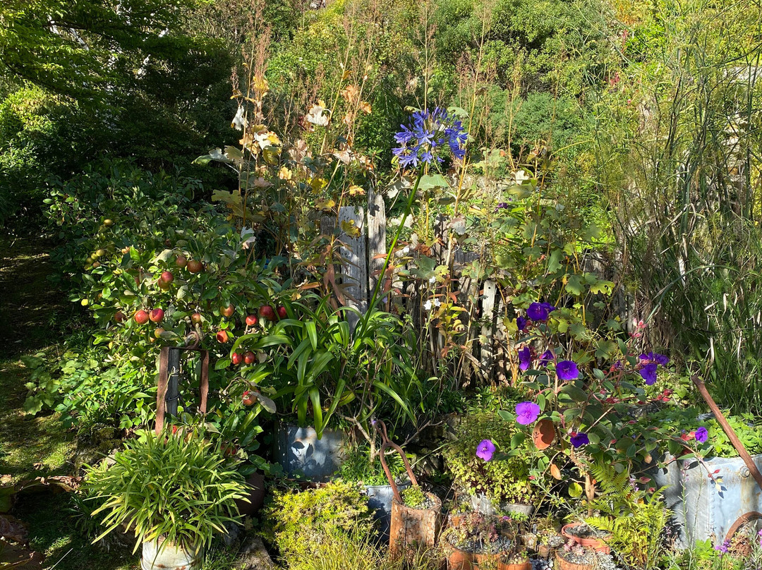 Lip na Cloiche Garden and Nursery景点图片