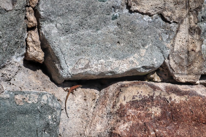Lago di Madrano-Pergine Valsugana必去景点