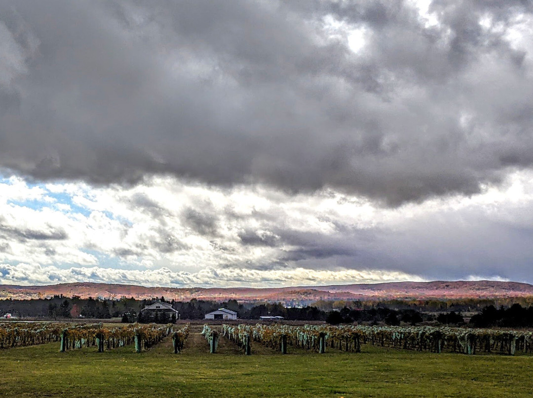 Crooked Vine Vineyard & Winery-Alanson必去景点