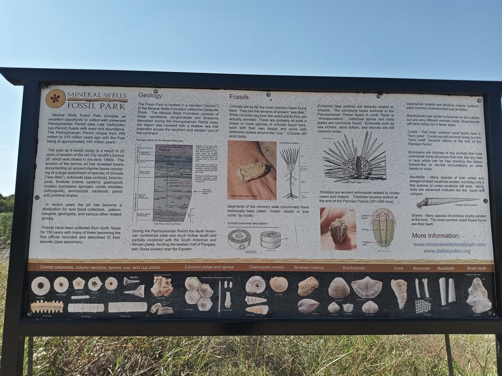 Mineral Wells Fossil Park-矿泉井城必去景点