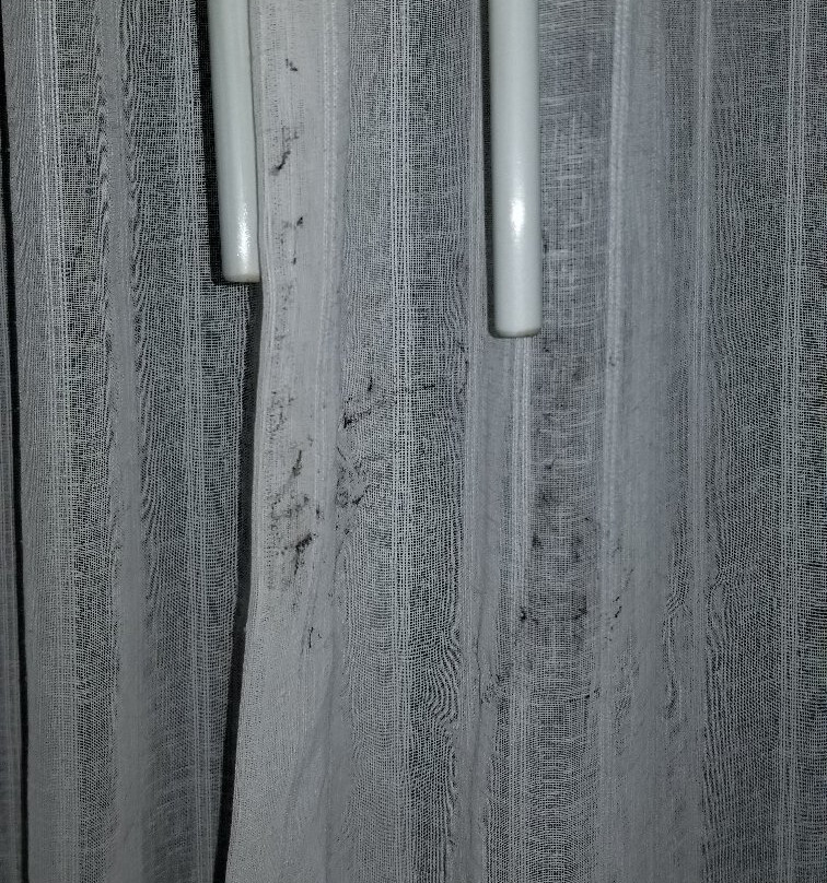 Baymont by Wyndham Jewett主图