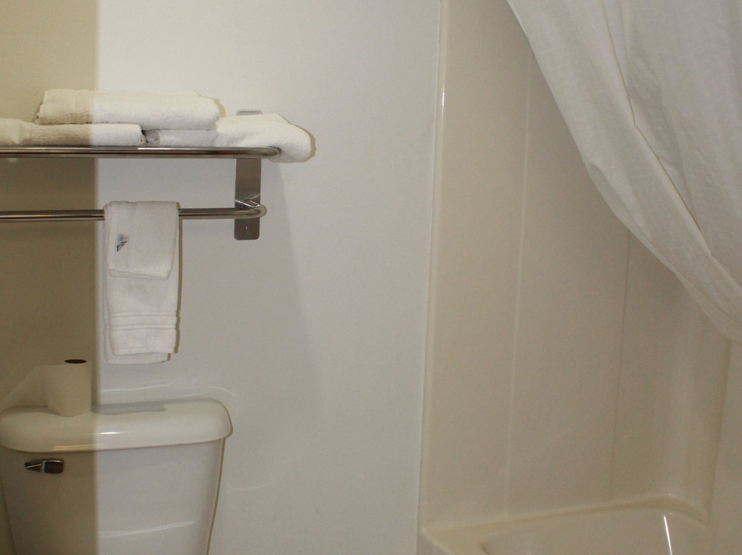 Forest City Inn主图