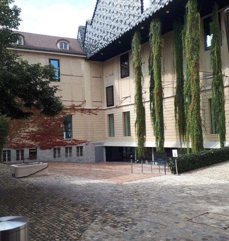 Museum der Kulturen Basel景点图片