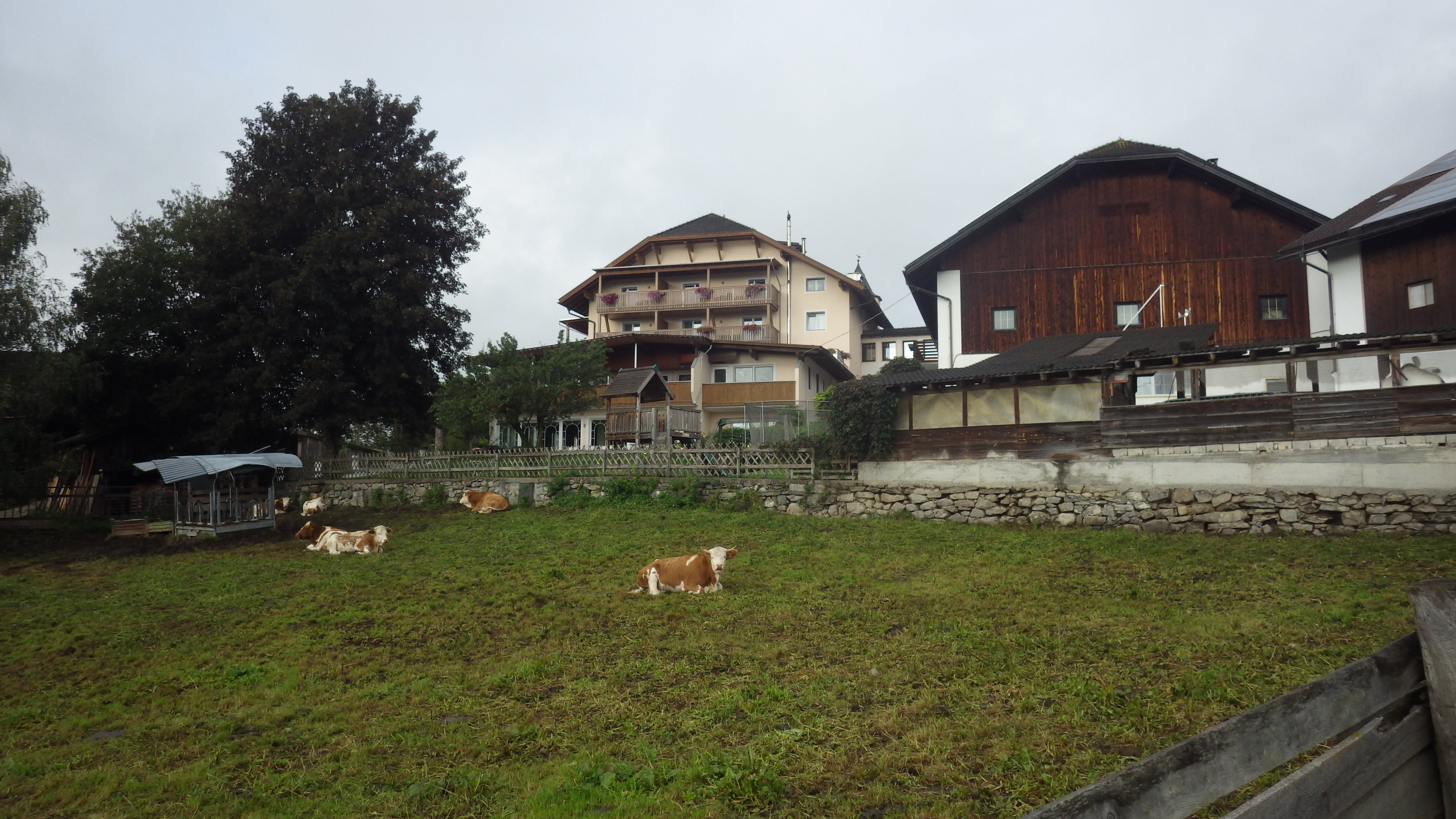 Hotel Winkler-浴室