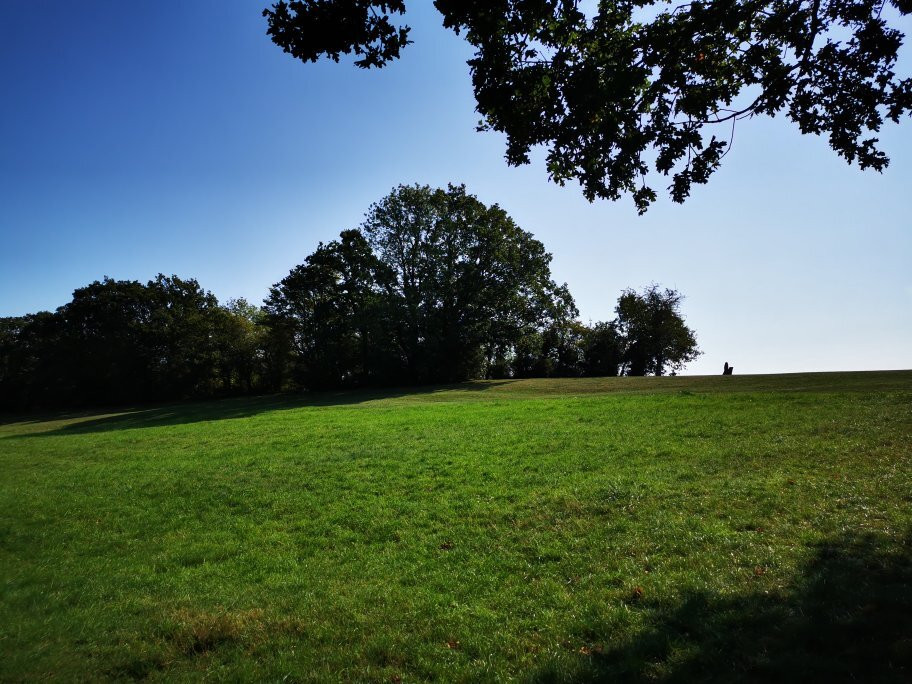 Langdon Hills Country Park景点图片