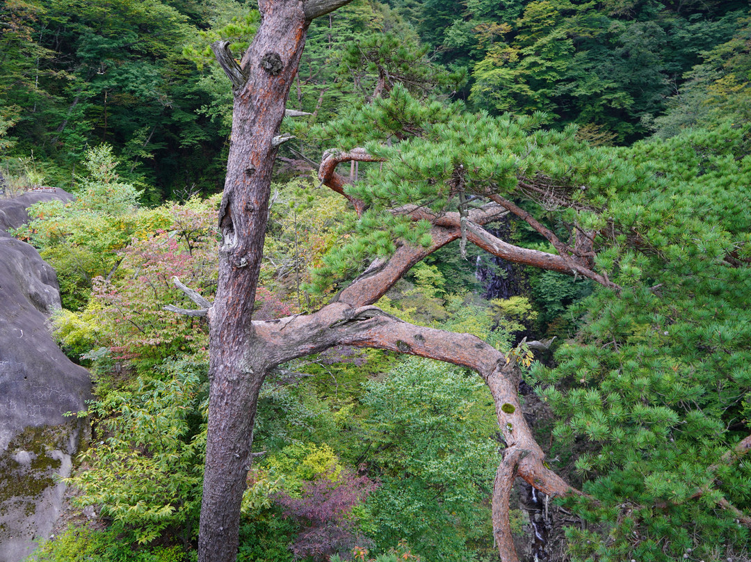 Fudo Falls-长野原町必去景点