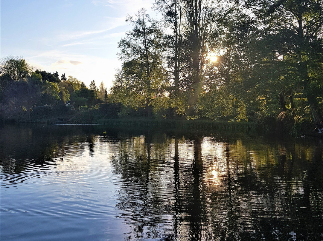 Hamilton Lake Domain-汉密尔顿必去景点