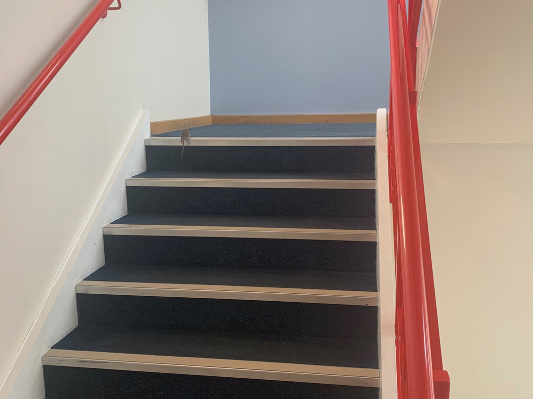 Travelodge Birmingham Perry Barr主图