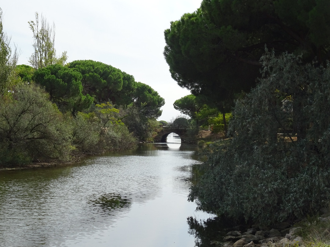 Etang du Ponant景点图片