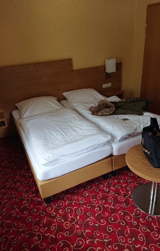 国王湖酒店主图