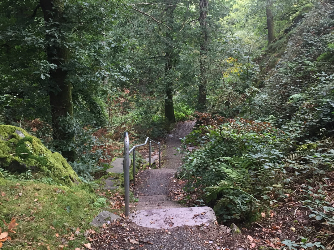 Idan House Guest House主图