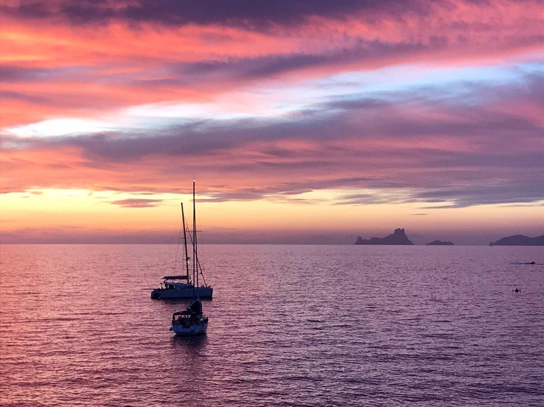 Flamingo Boat Charter ibiza景点图片