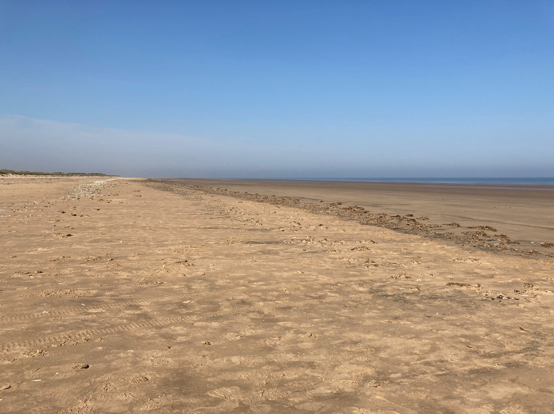 RSPB Titchwell Marsh景点图片