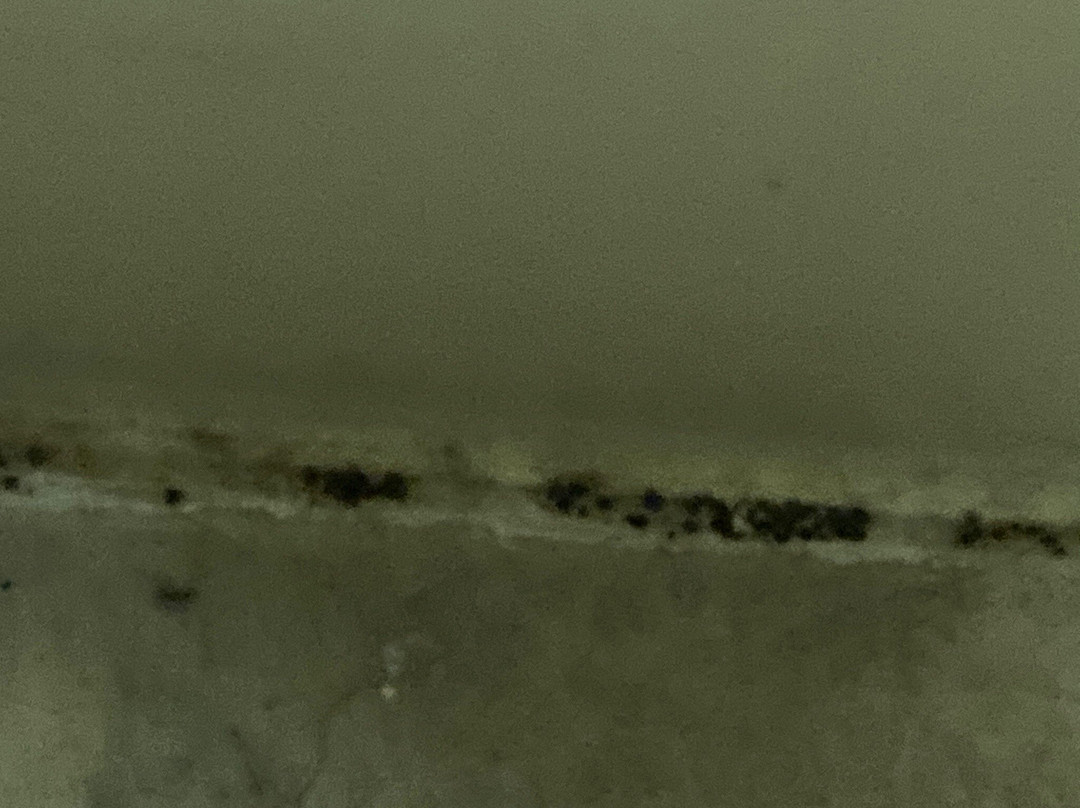 Super 8 by Wyndham Manhattan KS主图