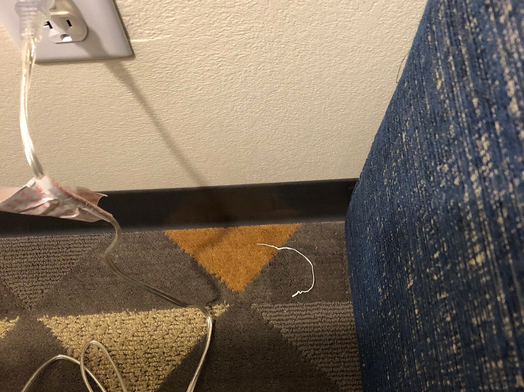 Holiday Inn & Suites Idaho Falls by IHG主图