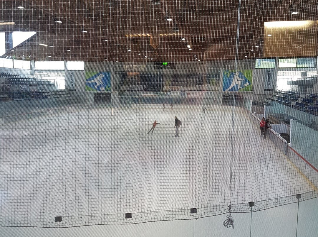 Ice Rink Pine景点图片