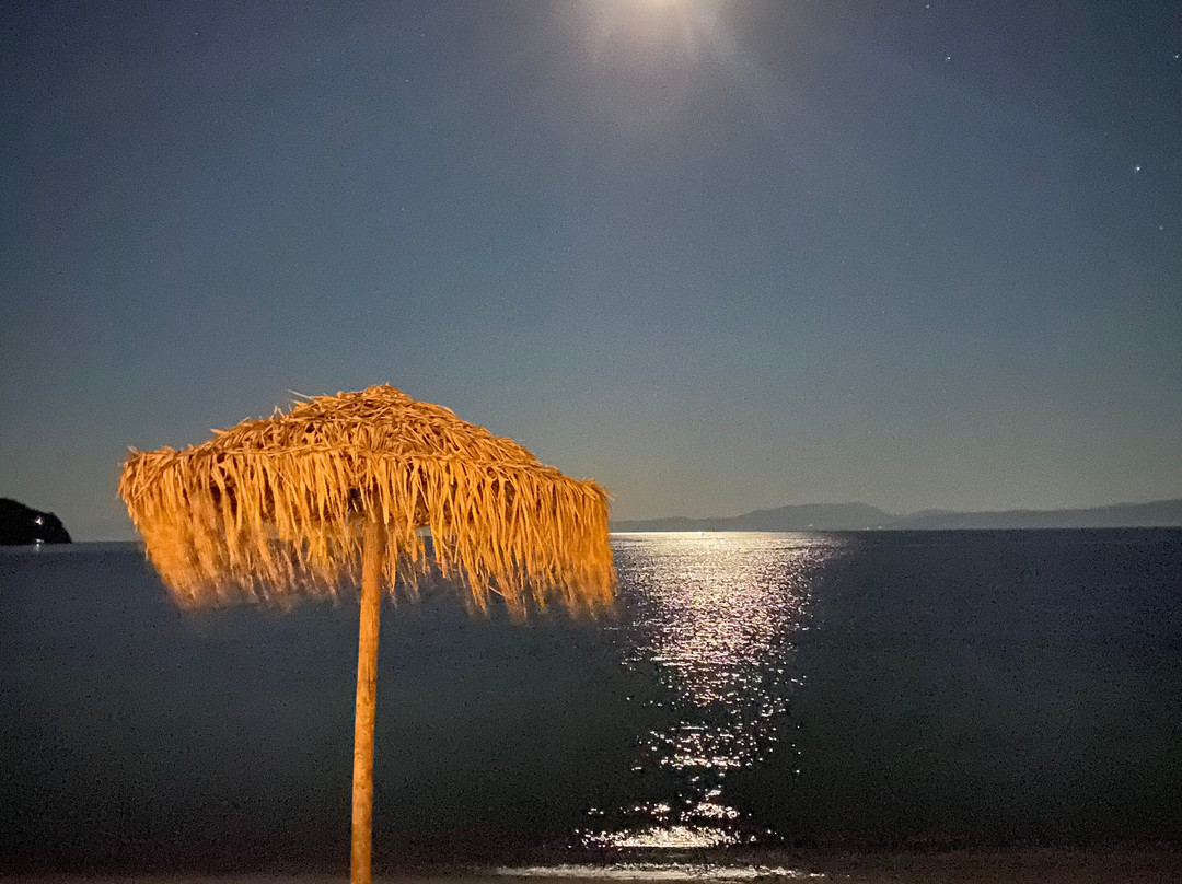 Princess Resort主图