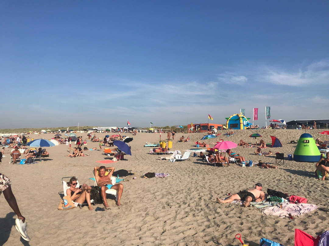 Strand S'gravenzande景点图片