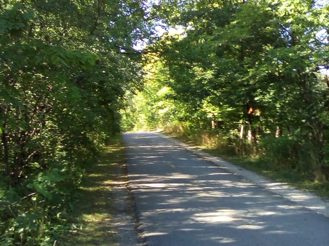 North Branch Bike Trail-斯科基必去景点
