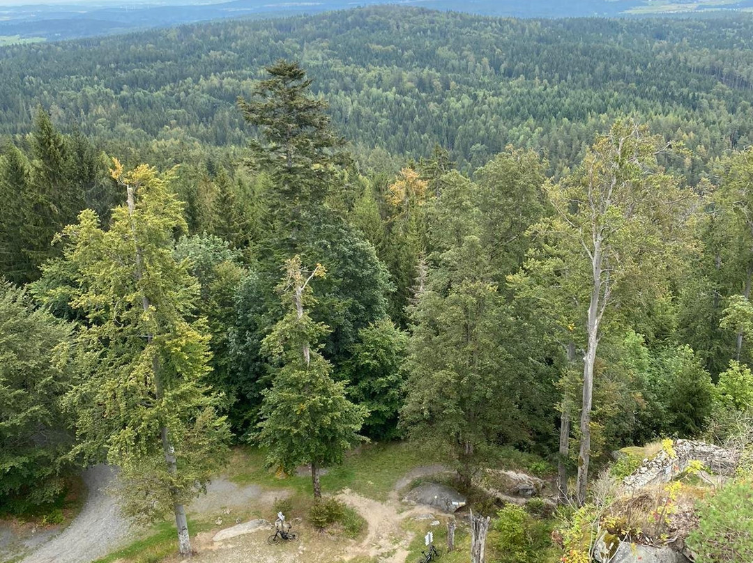 Ruine Weissenstein-Waldershof必去景点