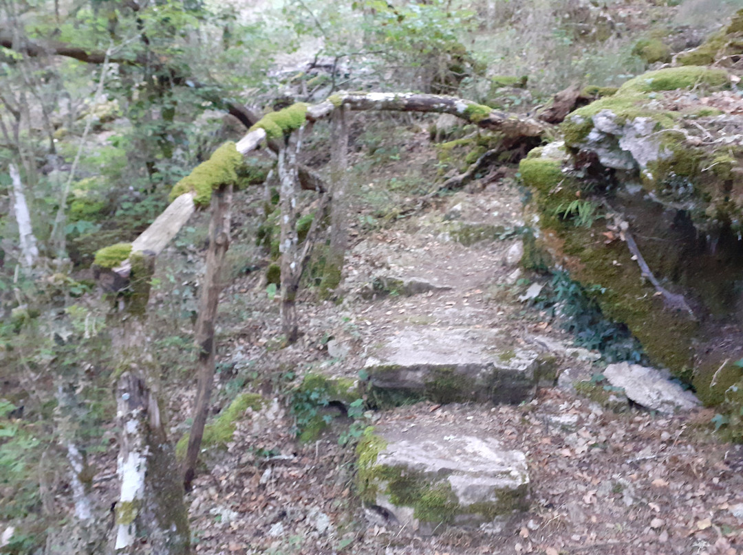 Cueva Palomera-Quintanilla del Rebollar必去景点