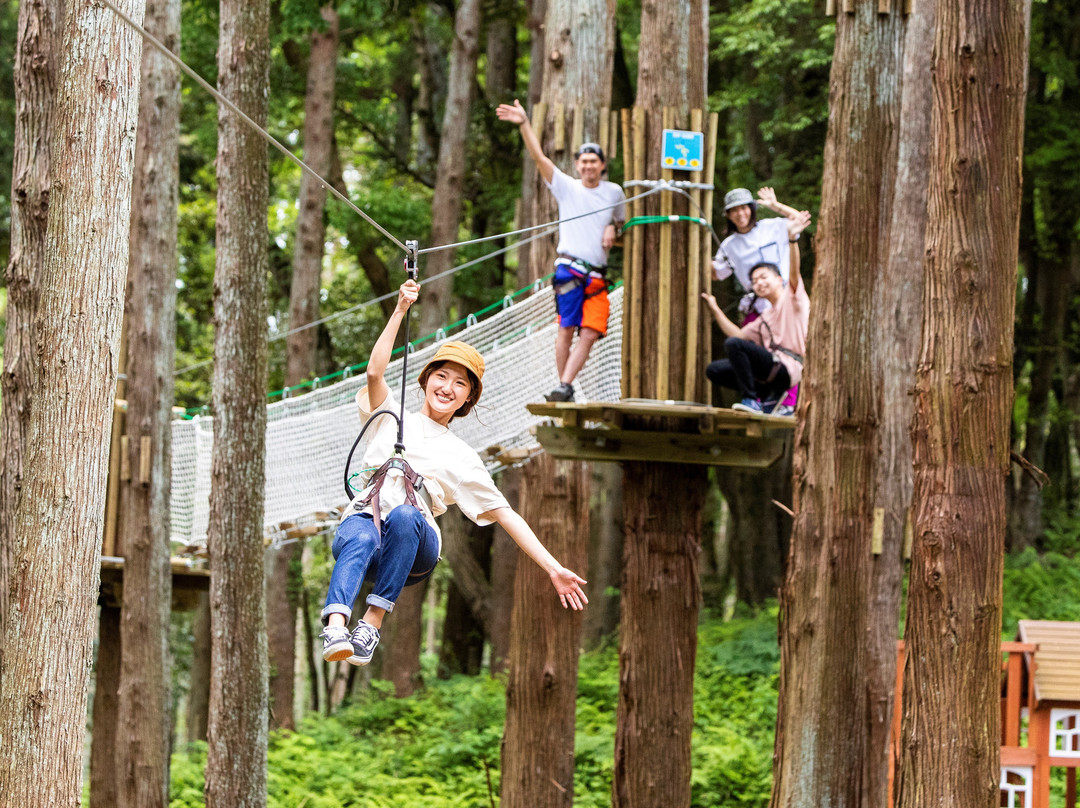 Forest Adventure Tarzania-长柄町必去景点