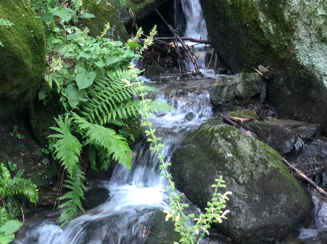 Albergo Breglia主图