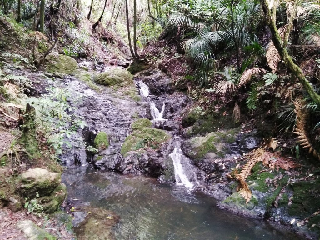 Hakarimata Walkway景点图片