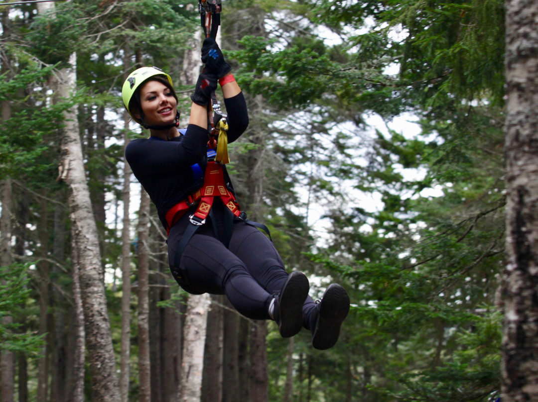 TimberTop Adventures-圣约翰必去景点