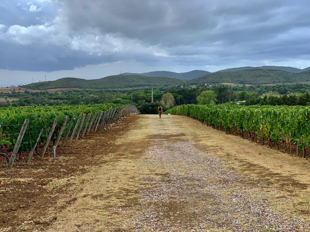 Tenuta Poggio Rosso Glamping主图