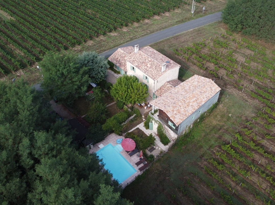 Les Vignes Reines主图