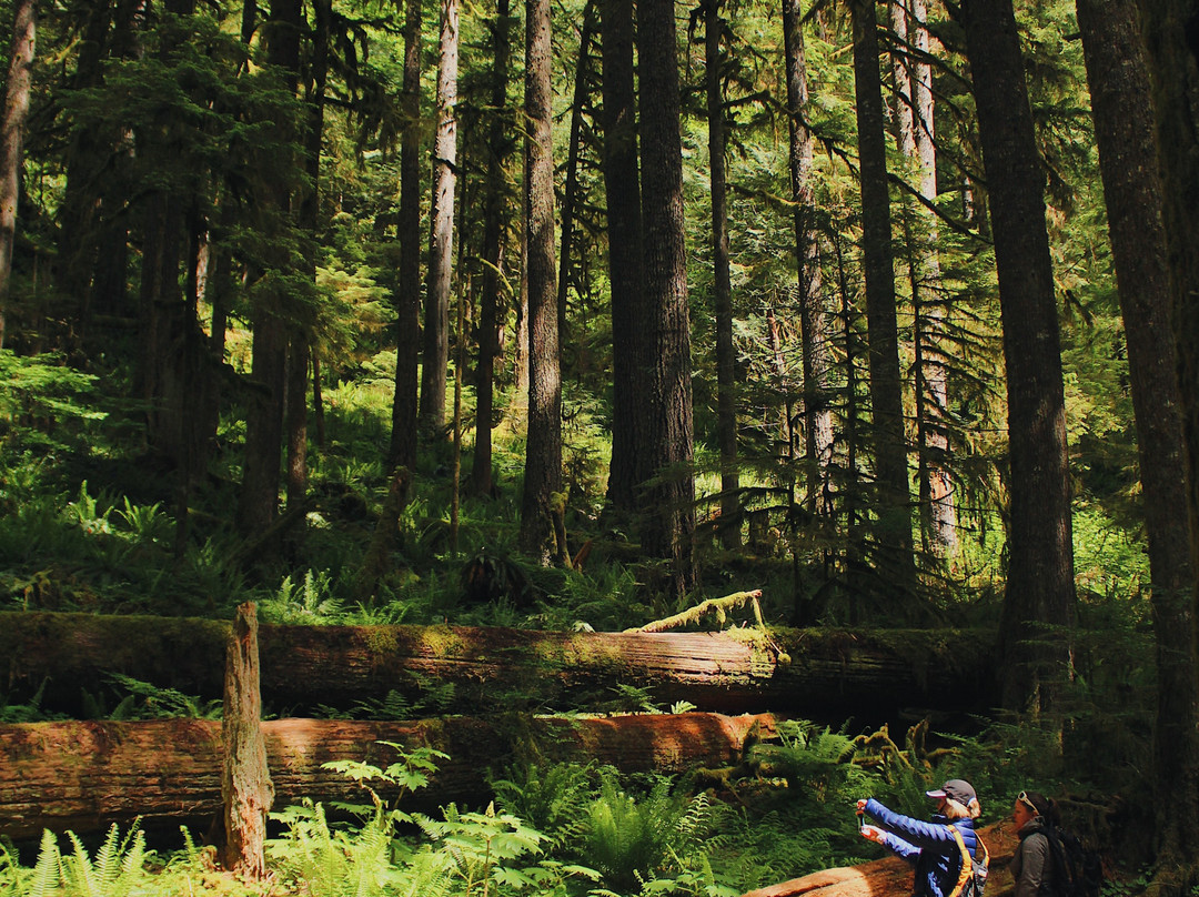 Mt Hood Outfitters-Government Camp必去景点