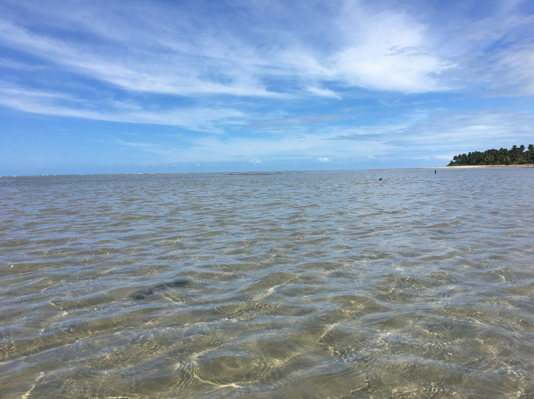 Bitingui Beach-Japaratinga必去景点