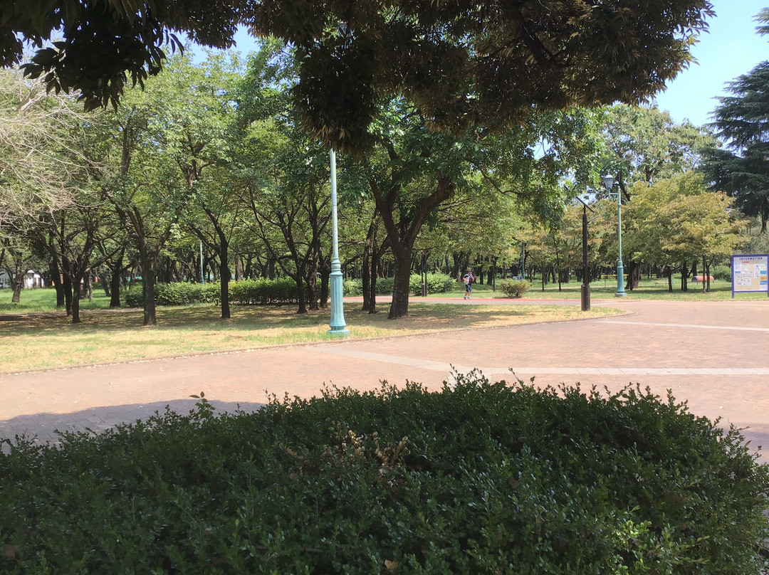 Sai-no-mori Iruma Park-入间市必去景点