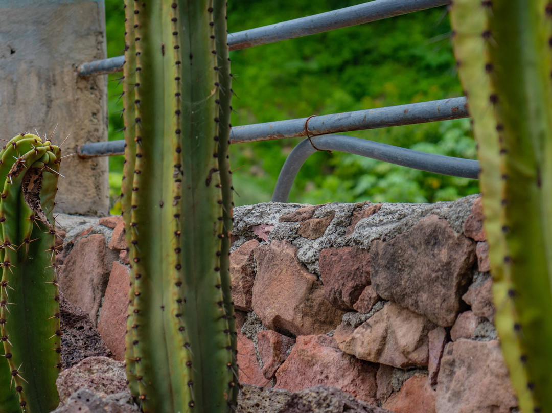 Punta Terraza-Tonala必去景点