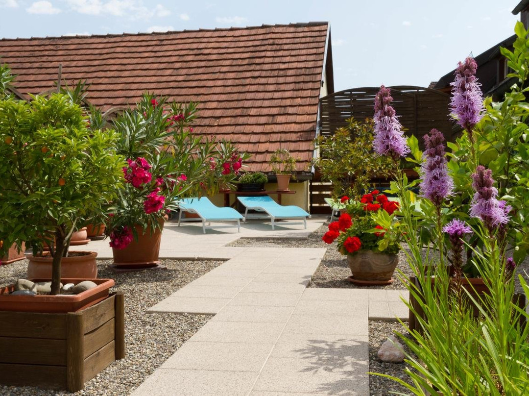 Hotel Restaurant Tuniberg主图