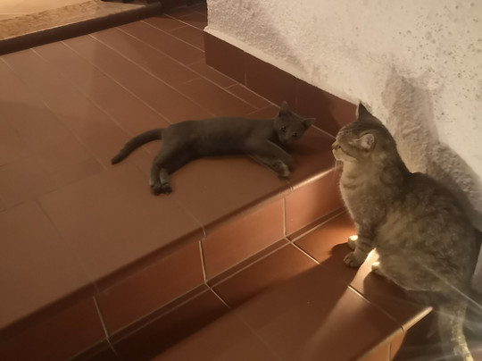 Villa Paradiso B&B主图